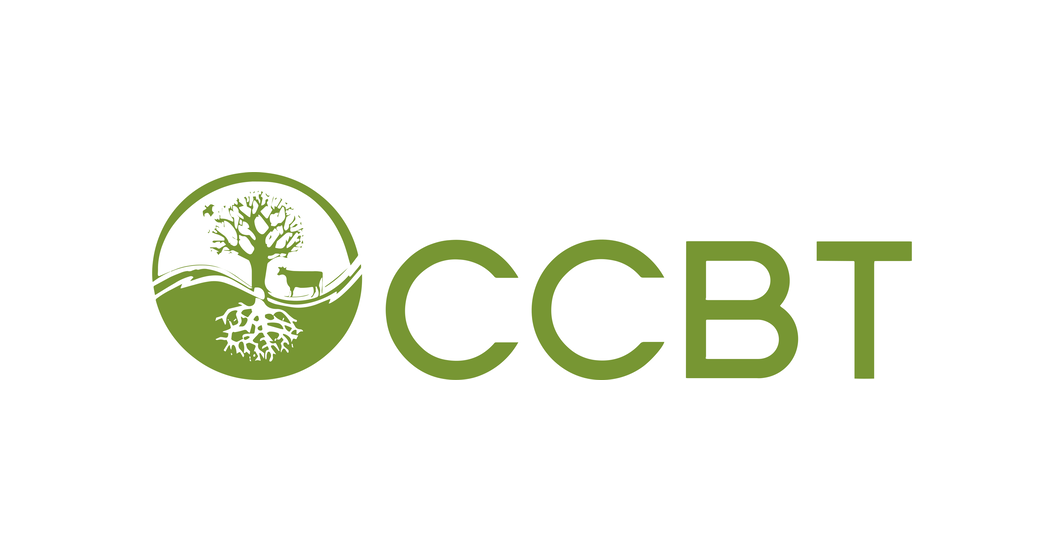 CCBT